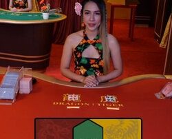Le jeu Dragin Tiger de Vivo Gaming débarque sur le live casino Magical Spin