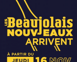 Beaujolais Nouveau 2023 est arrive