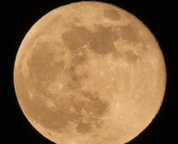 Fête de la Lune