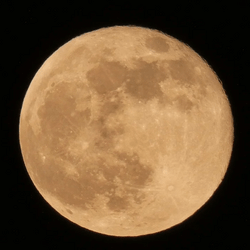 Fête de la Lune